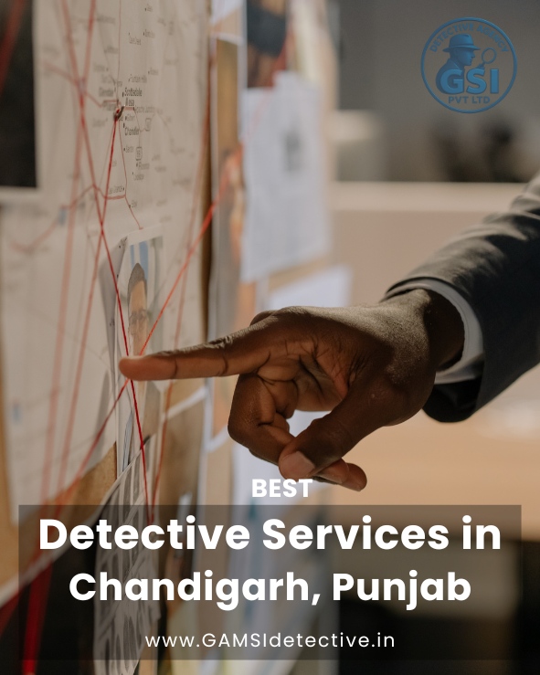 Best Detective Agency in Chandigarh, Punjab